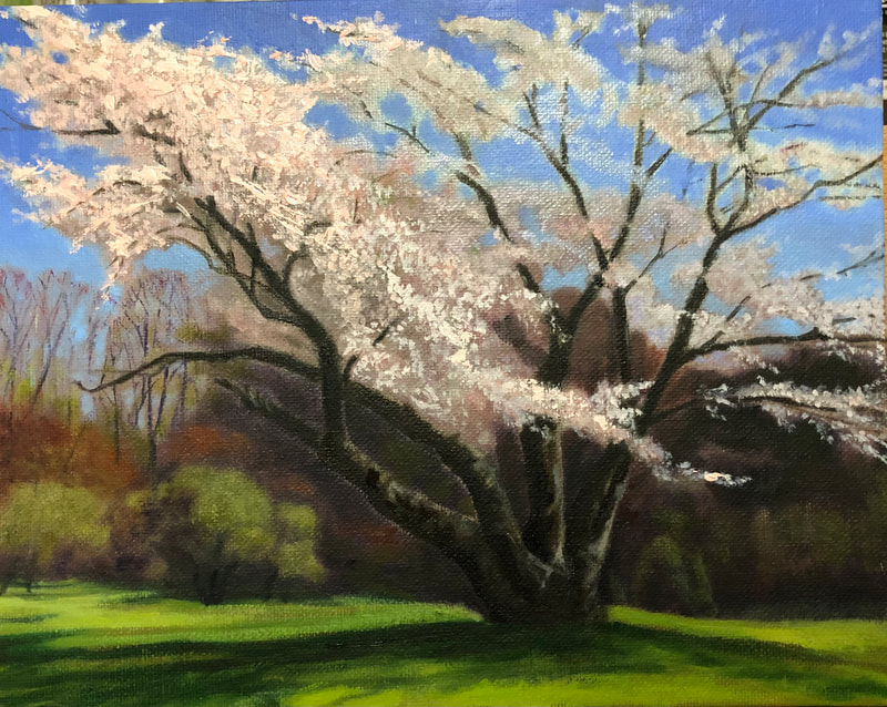 Plein Air-Oil. Early Spring Blossom in Durand. - Sold